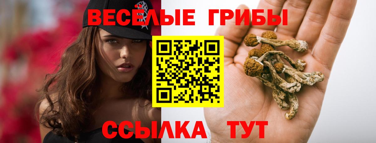 Кимры  Галлюциногенные грибы прущие грибы  Вход с VPN 